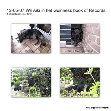 Wil Aiki misschien in het Guinness book of records?